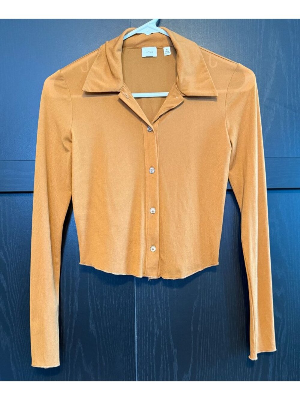 Wilfred Aritzia Women's Pose Cropped Long Sleeve Sheer Collared Top XS Brown
